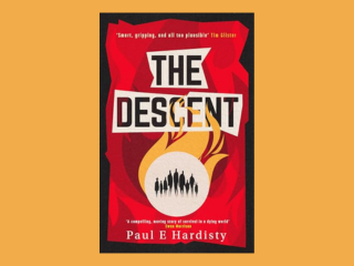 The Descent by Paul E Hardisty